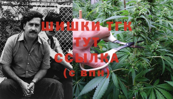 соль курить ск Алексеевка