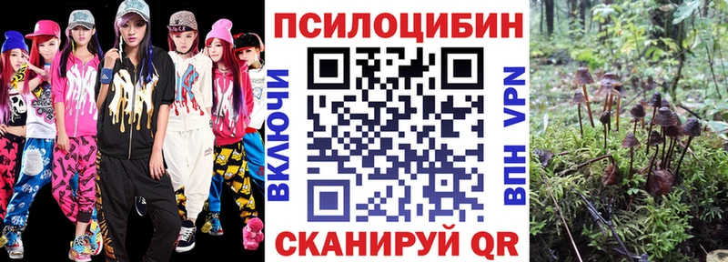 Псилоцибиновые грибы прущие грибы  даркнет сайт  shop Telegram  Томмот 